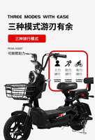 Vélo Électrique Moderne à Deux Roues 500W en Gros pour Adultes – Options 2 Roues – Achetez Votre Moto Électrique