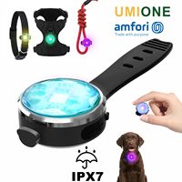Lampe LED de sécurité pour collier de chien, étanche IPX7, rechargeable Type-C, 15 modes, pour promenade nocturne, fabriquée en usine BSCI