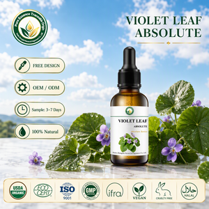 Assoluta di Foglie di Viola Premium (Viola Odorata) Testata GC-MS, Profumo Verde Naturale Fresco e Puro per la <span class=keywords><strong>Profumeria</strong></span> di Alta Qualità - Product Image 2
