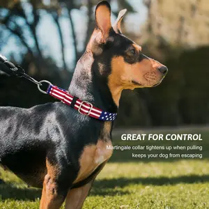 Custom Martingale Dog Collar Quick Release Tactical Adjustable Dog Training Collar