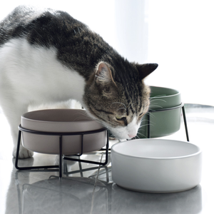 Mangkuk Makan Keramik Kucing untuk Anjing dan Kucing, Mangkuk Makan dengan Sandaran Logam untuk Hewan Peliharaan - Product Image 3