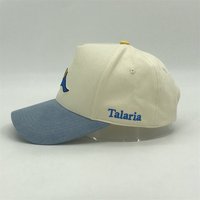 Gorras de béisbol estructuradas personalizadas, gorras de béisbol de panel duro de 5 paneles con logotipo personalizado, gorras Snapback con logotipo personalizado