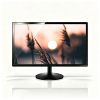 Nouveau Moniteur PC LED TN 19,5 Pouces Noir Écran Large 1600x900 HD+ 60Hz VGA Montage VESA 3,6ms Temps de Réponse pour Entreprises - Vente en Gros Usine
