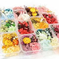 Boîte de fleurs séchées préservées pour l'art de la résine DIY, ensemble de matériaux en vrac multicolores faits à la main pour la fête des mères