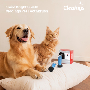 Cepillo de Dientes Desechable Suave para Mascotas, para Gatos y Perros, Limpieza Bucal en Casa con Cerdas de Silicona - Product Image 5