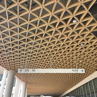 Vente directe d'usine, décoration de plafond en grille métallique contemporaine de forme allongée