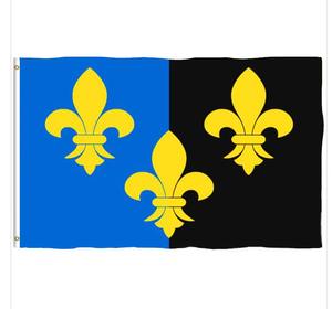 Drapeau GWENT de haute qualité, drapeau extérieur personnalisé 3x5 pieds, bannière imprimée simple face, design personnalisé, drapeau de bienvenue pour la cour - Product Image 1