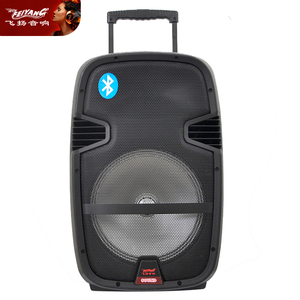 Retro Lớn Ngoài Trời Di Động <span class=keywords><strong>Woofer</strong></span> Dj Âm Nhạc PA Hệ Thống Duy Nhất 12 Inch Trung Quốc Bt Đảng USB Cổ Điển Đứng Âm Bass Lớn Âm Thanh Loa Lớn - Product Image 2