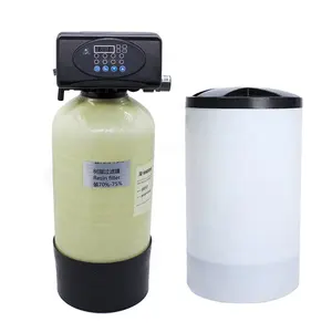 锅炉硬水软化器250L/H离子交换树脂软化器房屋软化器水处理