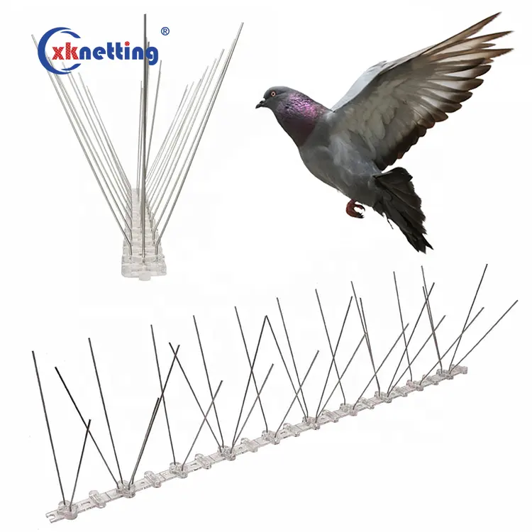 पीपी के लिए आधार स्टेनलेस स्टील पक्षी स्पाइक विरोधी पक्षी spikes पक्षी नियंत्रण