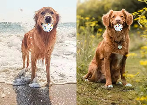 Juguete Masticable para Perros, Juguete para Perros de Alta Calidad, Duradero, con Sonido, Indestructible, Personalizado, Interactivo, para Perros Mordedores, Pelota para Perros HW - Product Image 5