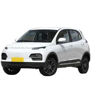 Dayun 2024 Hot Sale Dayun Yuehu 5-Door 5-Seat Pure Electric New Energy Vehicles 300 Standard Version Car
