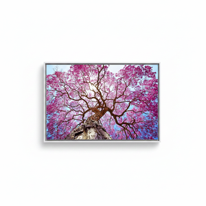Printed <b>Canvas</b> Artwork: Nature's Blossom - Elegant Floral Decor,WHITE <b>FRAMED</b> <b>CANVAS</b> - Product Image 2
