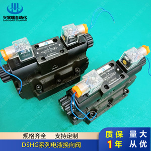 Vanne directionnelle électro-hydraulique Dshg 10 3C12 10 2N2 10 2N3 10 2N4 en acier allié, fluide huileux 315 bars, 100 L/min - Product Image 2