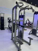 Máquina de Dominadas con Resistencia de Peso ROSEN Fitness, Equipo de Gimnasio para Ejercicios de Brazos, Máquina de Dip Asistida para Fisicoculturismo