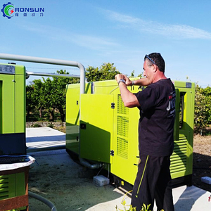 עץ שריפת חשמל תחנת כוח <span class=keywords><strong>100kw</strong></span> 200kw 300kw 300kw גז ביו גז גז גז ביומסה למכירה - Product Image 5