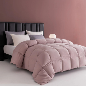 Couette matelassée en polyester respirante automne-hiver 75D/36F taille Queen, lavable en machine, hypoallergénique, avec housse de couette et couverture - Product Image 1