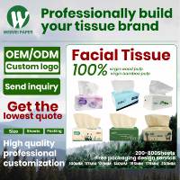 Fabricants OEM/ODM Vente en gros de pâte de bois vierge Mouchoirs en papier Sac d'emballage souple écologique Offre de mouchoirs Échantillons gratuits