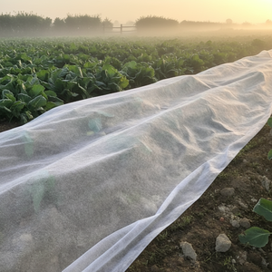 Cubierta Agrícola Impermeable Elástica de Material No Tejido, Precio Razonable, Gran Venta 2023, Nuevo Material, Peso Pesado, <span class=keywords><strong>110</strong></span> GSM, para Plantas - Product Image 2