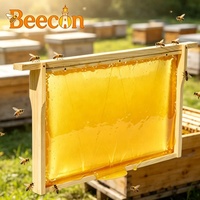 Neuer UK-Style Beecon Marken-Bienenrahmen und Bienenstockrahmen aus Kiefernholz zum Selbstmontieren für die Imkerei