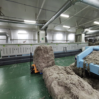 Machine d'extraction de fibres de chanvre et de lin pour le traitement des fibres