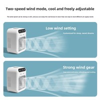 Refroidisseur d'air pour animaux de compagnie, été, chien, chat, ABS et gel de silice, petit ventilateur de refroidissement à moteur DC avec ajout d'eau