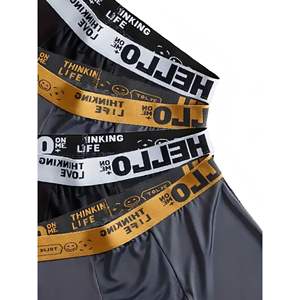 Paquete de 10 Calzoncillos de Seda de Hielo para Hombre, Transpirables y Sexys, con Forma de U, Talle Medio, Tallas XS-XL Incluidas, Talla 4XL Incluida - Product Image 2