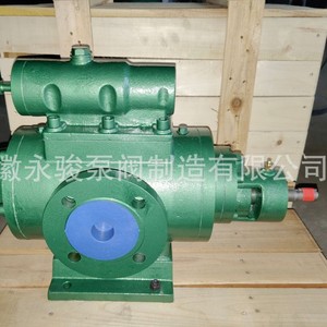 ปั๊มสกรูคู่ 2G ยี่ห้ออันฮุย ยงจุน รุ่น 2GH30-54N ปั๊มถ่ายน้ำมันหล่อลื่น - Product Image 2