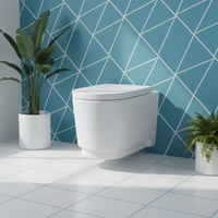 WC suspendu sans bride à économie d'eau, pour salle de bain, vente en gros à prix réduit