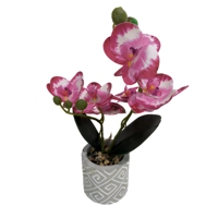 Arrangements floraux de mariage en pleine croissance : Orchidées Phalaenopsis artificielles en plastique pour la décoration de bureaux, hôtels et maisons