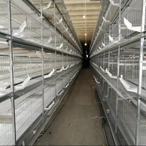 Nuevo Equipo de Avicultura en Oferta, Jaula para Gallinas Ponedoras Tipo H, Equipo Avícola Automatizado para Gallinas Ponedoras, <span class=keywords><strong>Precio</strong></span> Competitivo - Product Image 1