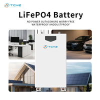 Batería de Iones de Litio LiFePO4 de 51.2V 314Ah 16kWh, Compatible con Red Híbrida, Protección IP65, con Ruedas