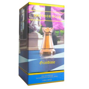 Parfum pour homme GRANDIOSE Oud Spicy Woody 100ml Eau de Parfum, senteur longue tenue, qualité supérieure, pour homme. - Product Image 4