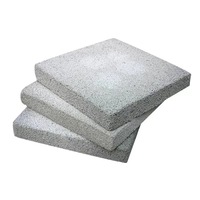 Panneau ignifuge de mur extérieur de panneau isolant de mousse de ciment de bâtiment de panneau de mousse de ciment