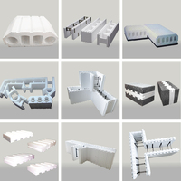 Le béton de polystyrène Fangyuan forme la machine à mousser les blocs creux
