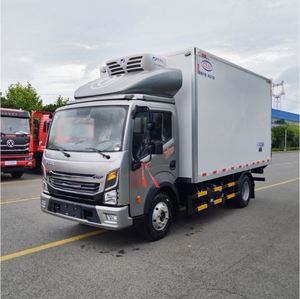 Camión Refrigerado de 4.2 Metros con Motor Diésel Euro 6, Transmisión Manual, para el Transporte de Vegetales Congelados - Product Image 5