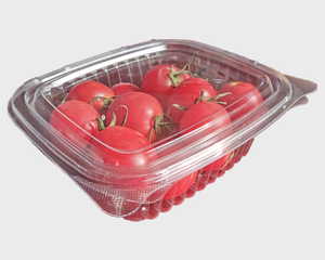Auto Plastic Pizza Container Vakuum form maschine Einweg-Schaums chale für mehrere PE PS PVC ABS PP PET <span class=keywords><strong>EPS</strong></span> PMMA - Product Image 3