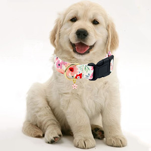 <span class=keywords><strong>Collar</strong></span> de perro rosa ajustable suave y cómodo para niño y niña, collares para perros, bonito <span class=keywords><strong>collar</strong></span> para Cachorros para perros pequeños, medianos y grandes - Product Image 6