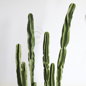 <span class=keywords><strong>Cactus</strong></span> artificiel décoratif d'intérieur, plante tropicale éternelle, PU, faux, écologique, toucher naturel, type arbre, décoration - Product Image 4