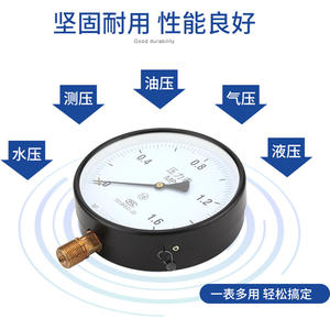 เกจวัดแรงดันมาตรฐานทองเหลือง Y-150 0-1.6 2.5 40 60 เมกะปาสคาล สำหรับหม้อไอน้ำ ขนาดเส้นผ่านศูนย์กลางเข็ม 100 มม. สำหรับแรงดันไฮดรอลิก/แก๊ส - Product Image 4