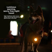 Pendentif LED pour animaux de compagnie (chats, chiens) – Étanche, réglable, lumineux, clignotant, veilleuse anti-perte pour la promenade en toutes saisons