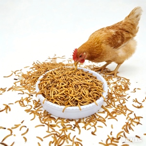 100%天然昆虫タンパク質乾燥ミールワーム鳥の餌高タンパク質乾燥ミールワーム - Product Image 2