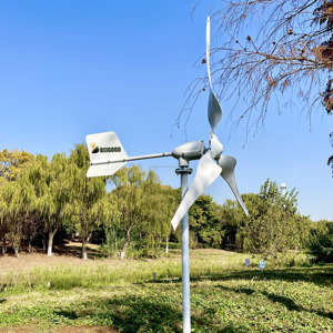 กังหันลม Beigood แบบแกนนอน 1000w 2000w สำหรับบ้าน พลังงานฟรี 1500w - Product Image 2