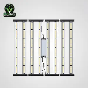 Bestseller 2023 Mega Enfold LED 10 Bar Hydro ponik system LED Anlage 1000W Grow Light