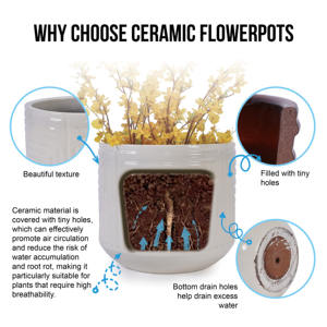 Livraison gratuite, stock US, livraison rapide en 3 jours, pot de fleurs moderne en céramique, jardinière sur pied pour intérieur/extérieur, maison et jardin - Product Image 6