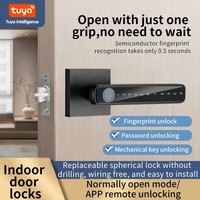Nueva llegada Manijas de puerta Aplicación de lujo Modelo digital Ttlock Código de desbloqueo Wifi Biométrico inteligente Cerradura de huella digital de puerta