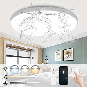 Phòng khách hiện đại phòng ngủ không thấm nước và muỗi bằng chứng đơn giản siêu mỏng dẫn ánh sáng Trần/Đèn trần/đèn Trần Hiện Đại - Product Image 6