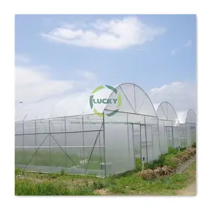 Lucky Agriculture Commercial Metal Frame Plastic Green House For Agriculture Low Cost Tunnel