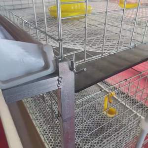 Yüksek verimli yumurta üretimi için ticari profesyonel sınıf yılında kanatlı ve tavuk kümesi için kümes hayvancılığı katmanlı kafes - Product Image 4