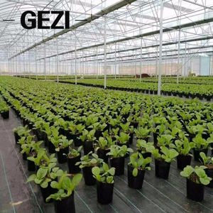 מוצרים שליטת עשב מחצלת חקלאי ארוג פלסטיק בד עבור גננות חקלאות שימוש PE - Product Image 5